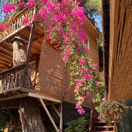Large Bungalow With Sea View In Kabak Bay, Oeluedeniz Фетхие Экстерьер фото