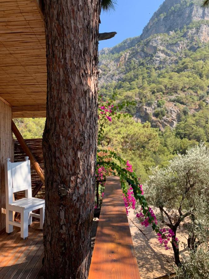 Large Bungalow With Sea View In Kabak Bay, Oeluedeniz Фетхие Экстерьер фото